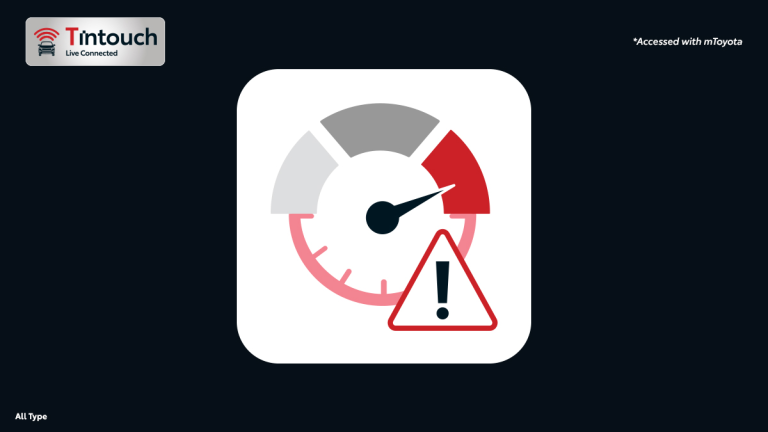 Speed & Idle Alert