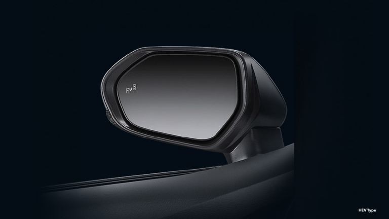 Blind Spot Monitor (BSM)